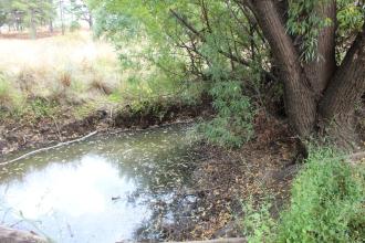 Up stream