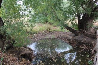 Down Stream