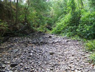 dry creek bed