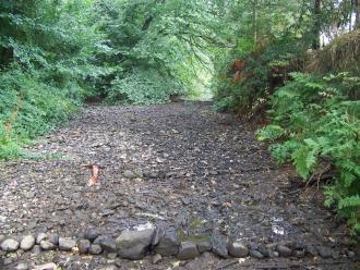 dry creek bed