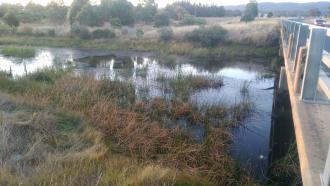 Musty's Bridge