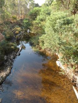 Looking upstream from Burslems Bridge