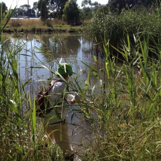 Riverbank looking back to normal after dam reinstated