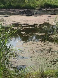 Water testing site