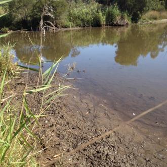 Low water level and sticky mud near the usual sampling spot