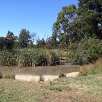 Low water level at the west end of the main lake