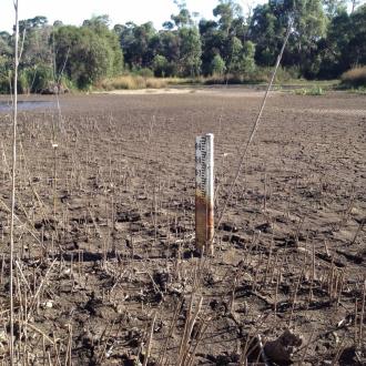0.1m of mud only at the usual sampling site