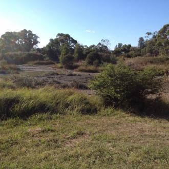 A pool at the western end of the main lake just deep enough to float a duck