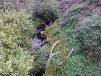 View south from bridge