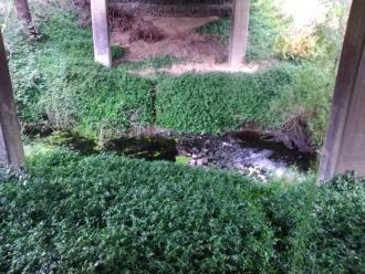 View across creek, looking eastwards