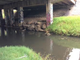 Darebin Creek - upstream side from Murray Road  bridge