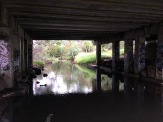 Darebin Creek - under Murray Road Bridge looking upstream