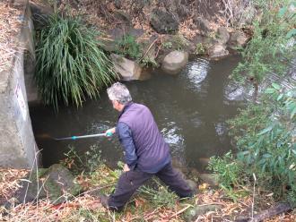 Sample taking from drain into Darebin Creek downstream from Murry Road Bridge