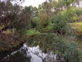 From Darebin Creek drain, looking downstream from Murry Road Bridge