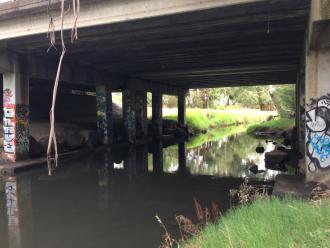 From Darebin Creek drain, looking upstream to Murry Road Bridge