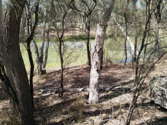 Site