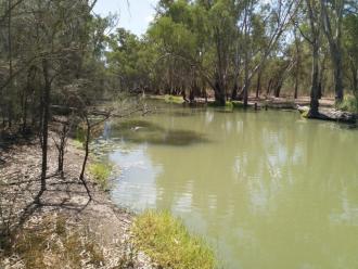 Upstream