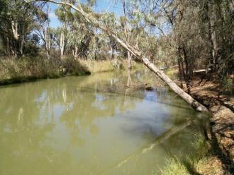Downstream