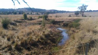 50metre pool Doggetts Bridge