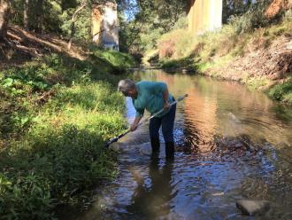 Margaret doing an edge sweep.