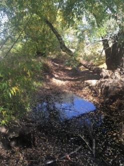 Down stream