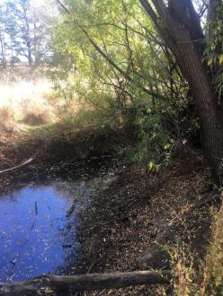 Upstream