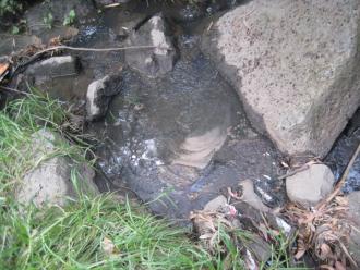 showing scummy sludge caught in the rocks