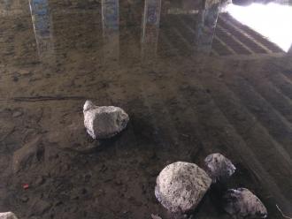 water clarity under bridge