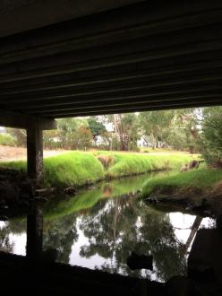 creek view upstream from under bridge (to water sample location)