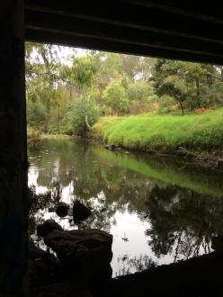 Darebin creek downstream from bridge towards storm drain outlet area