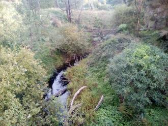 Looking south from bridge