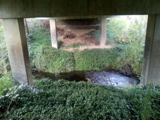 Looking east across creek under bridge