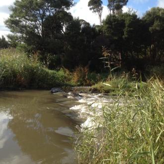 Creek running fast over the dam at the wetland inlet