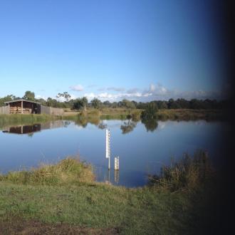 Inlet lake at the wetland
