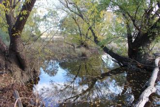 Down stream