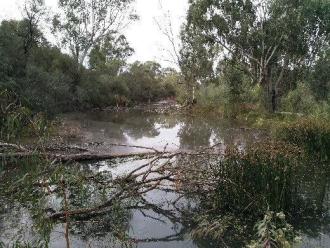 Sandilong Creek Mildura