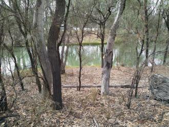 Murray River Billabong Mildura