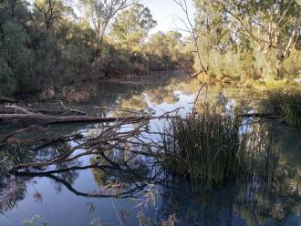 Sandilong creek, Mildura
