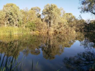 Sandilong Creek, Mildura