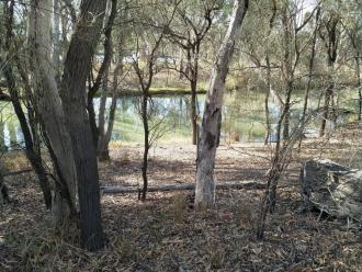 Murray River, Mildura
