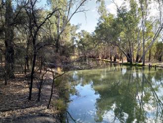 Murray River, Mildura