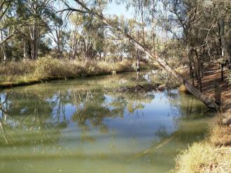 Murray River, Mildura