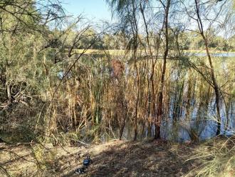 Kings Billabong, Mildura