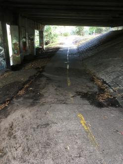 mud trail after fairly heavy recent rainfall under the Murray Rd/Southern Rd bridge