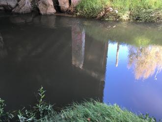 fairly murky water after rainfall