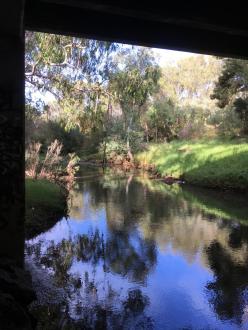 creek looking downstream