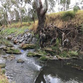 In stream habitat
