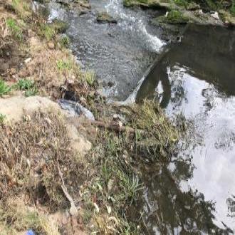 Rubbish next to the waterway