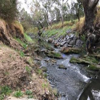 In stream habitat, riparian erosion