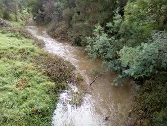 View north from bridge